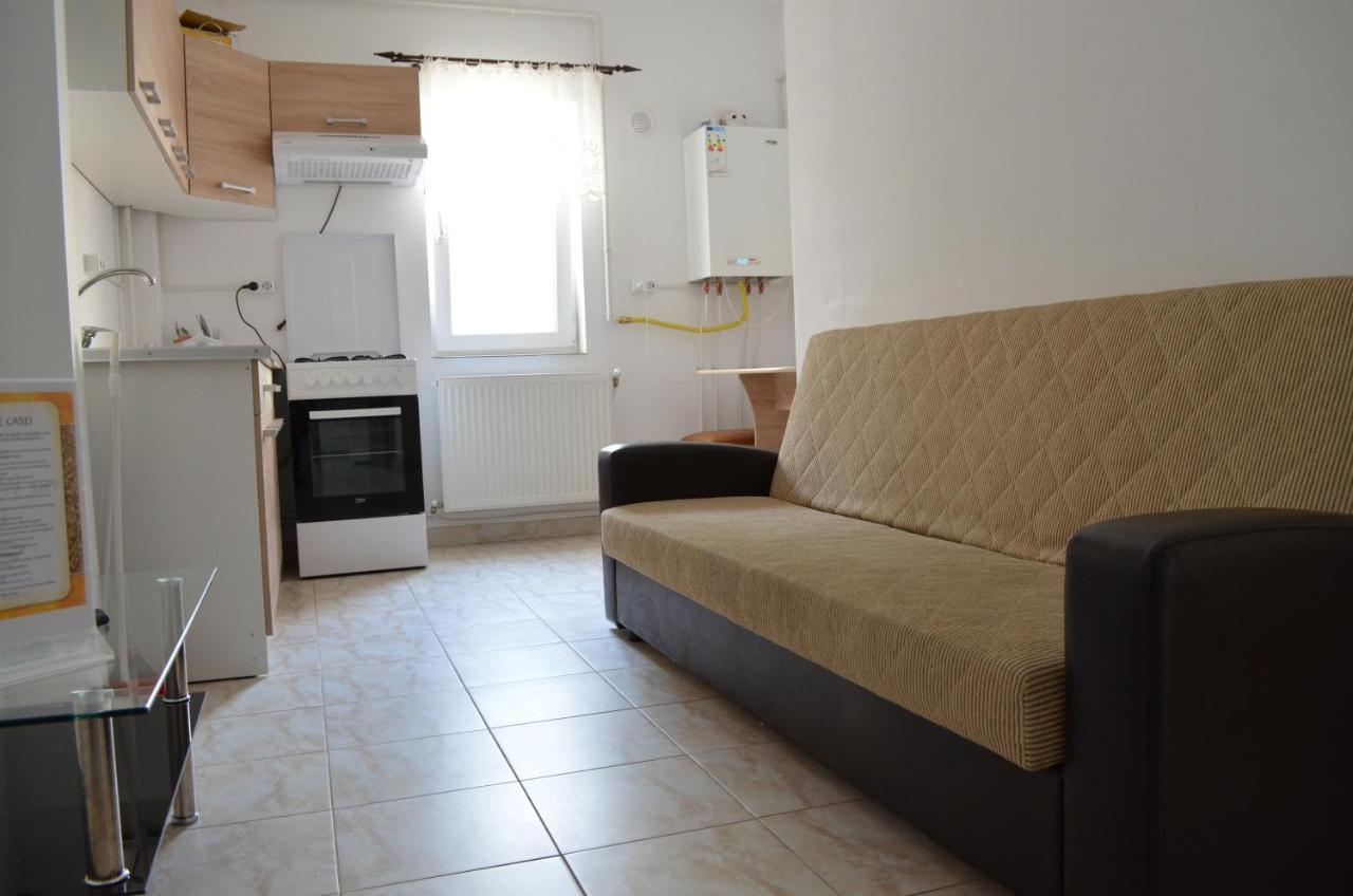 Alexys Residence 5 Iasi Eksteriør billede